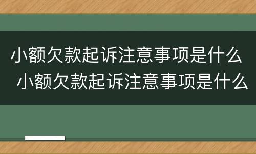 小额欠款起诉注意事项是什么 小额欠款起诉注意事项是什么原因