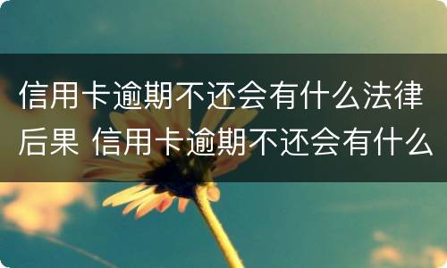 信用卡逾期不还会有什么法律后果 信用卡逾期不还会有什么法律后果吗