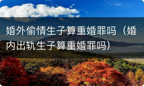 婚外偷情生子算重婚罪吗（婚内出轨生子算重婚罪吗）