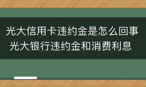 光大信用卡违约金是怎么回事 光大银行违约金和消费利息