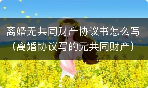离婚无共同财产协议书怎么写（离婚协议写的无共同财产）