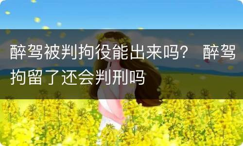 醉驾被判拘役能出来吗？ 醉驾拘留了还会判刑吗