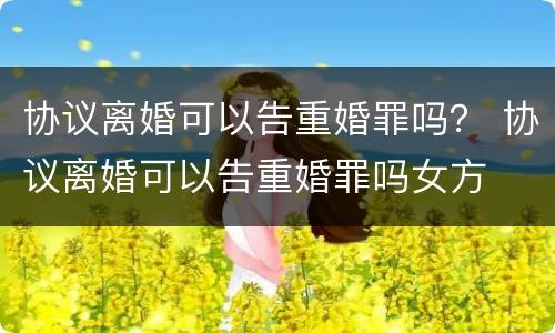 协议离婚可以告重婚罪吗？ 协议离婚可以告重婚罪吗女方