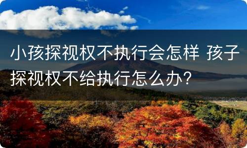 小孩探视权不执行会怎样 孩子探视权不给执行怎么办?