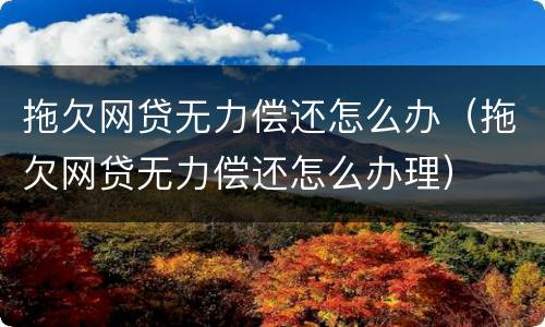拖欠网贷无力偿还怎么办（拖欠网贷无力偿还怎么办理）