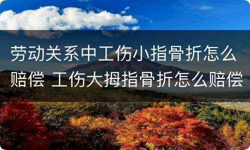劳动关系中工伤小指骨折怎么赔偿 工伤大拇指骨折怎么赔偿