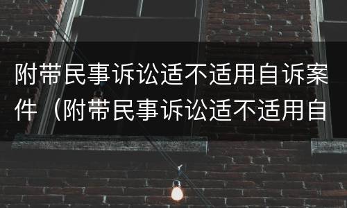 附带民事诉讼适不适用自诉案件（附带民事诉讼适不适用自诉案件审理）