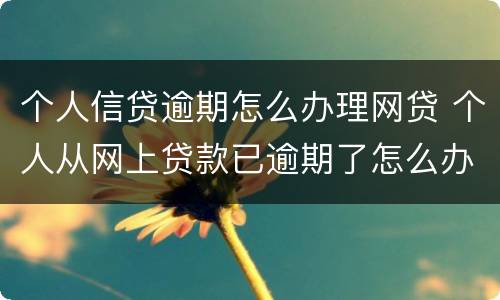 个人信贷逾期怎么办理网贷 个人从网上贷款已逾期了怎么办