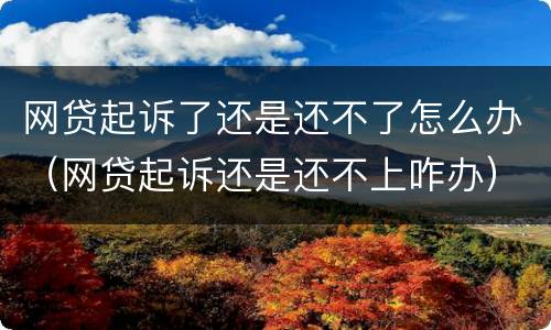 网贷起诉了还是还不了怎么办（网贷起诉还是还不上咋办）