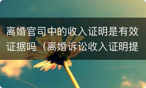 离婚官司中的收入证明是有效证据吗（离婚诉讼收入证明提供哪些）