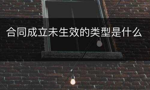 合同成立未生效的类型是什么
