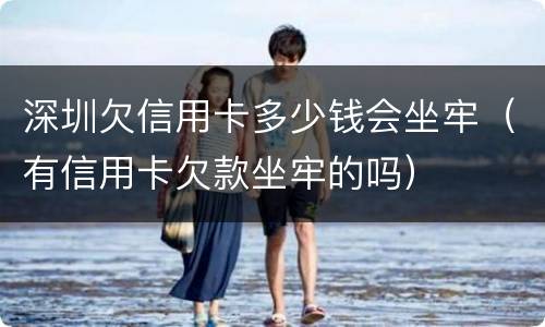 深圳欠信用卡多少钱会坐牢（有信用卡欠款坐牢的吗）