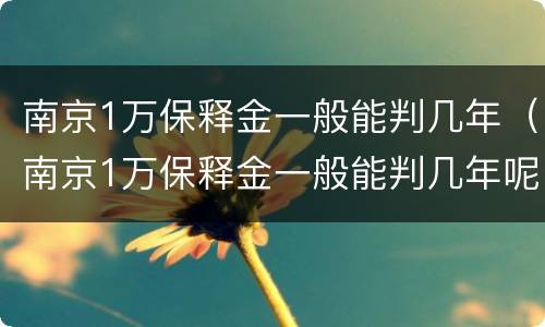 南京1万保释金一般能判几年（南京1万保释金一般能判几年呢）
