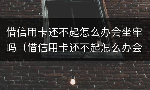 借信用卡还不起怎么办会坐牢吗（借信用卡还不起怎么办会坐牢吗知乎）