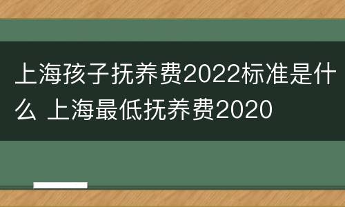 上海孩子抚养费2022标准是什么 上海最低抚养费2020