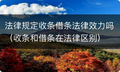 法律规定收条借条法律效力吗（收条和借条在法律区别）