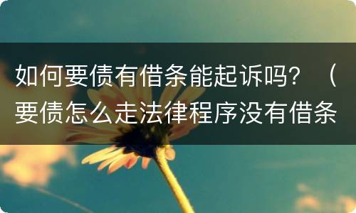 如何要债有借条能起诉吗？（要债怎么走法律程序没有借条）