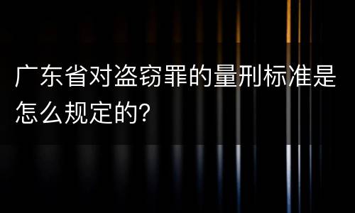 广东省对盗窃罪的量刑标准是怎么规定的？