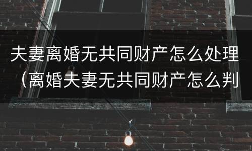 夫妻离婚无共同财产怎么处理（离婚夫妻无共同财产怎么判）