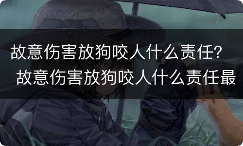 故意伤害放狗咬人什么责任？ 故意伤害放狗咬人什么责任最大