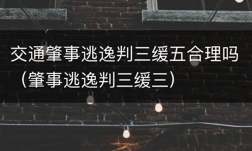 交通肇事逃逸判三缓五合理吗（肇事逃逸判三缓三）