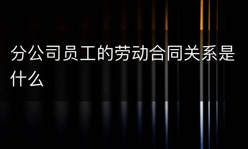 分公司员工的劳动合同关系是什么