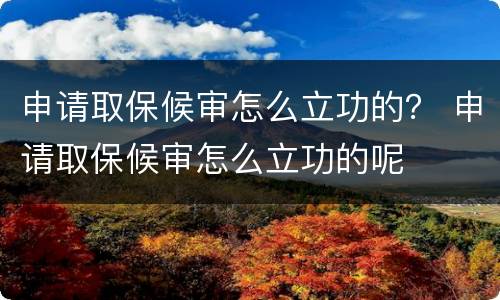 申请取保候审怎么立功的？ 申请取保候审怎么立功的呢