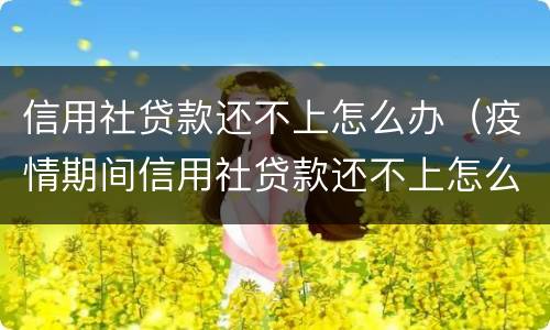 信用社贷款还不上怎么办（疫情期间信用社贷款还不上怎么办）