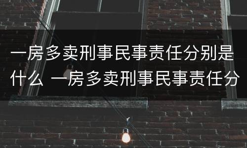 一房多卖刑事民事责任分别是什么 一房多卖刑事民事责任分别是什么罪