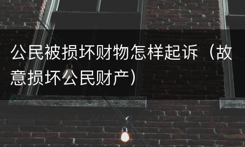 公民被损坏财物怎样起诉（故意损坏公民财产）