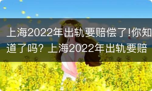 上海2022年出轨要赔偿了!你知道了吗? 上海2022年出轨要赔偿了!你知道了吗