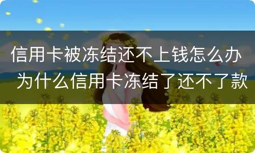 信用卡被冻结还不上钱怎么办 为什么信用卡冻结了还不了款