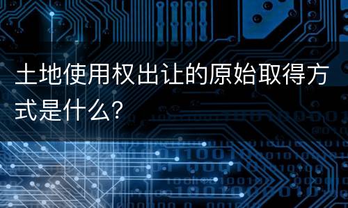 土地使用权出让的原始取得方式是什么？