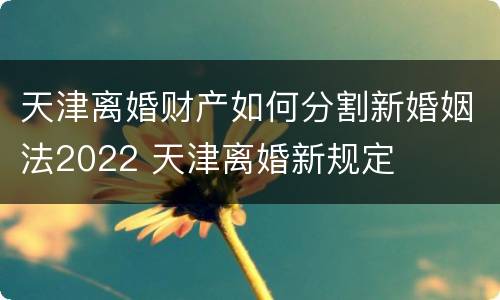 天津离婚财产如何分割新婚姻法2022 天津离婚新规定