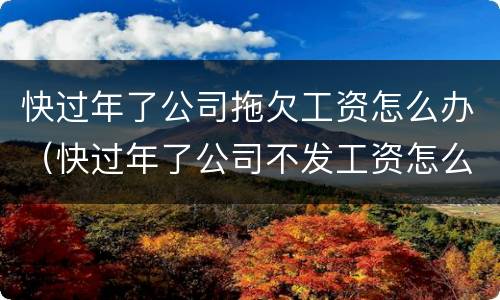 快过年了公司拖欠工资怎么办（快过年了公司不发工资怎么办）