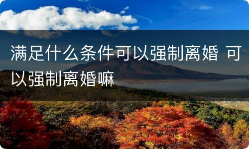 满足什么条件可以强制离婚 可以强制离婚嘛