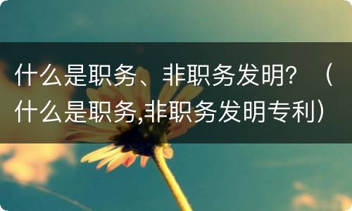 什么是职务、非职务发明？（什么是职务,非职务发明专利）