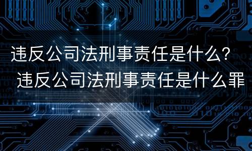 违反公司法刑事责任是什么？ 违反公司法刑事责任是什么罪
