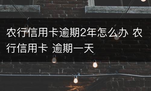农行信用卡逾期2年怎么办 农行信用卡 逾期一天