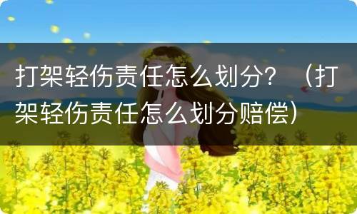 打架轻伤责任怎么划分？（打架轻伤责任怎么划分赔偿）
