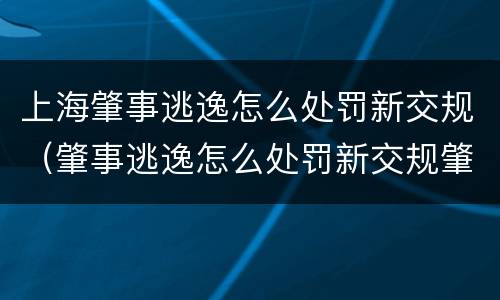 上海肇事逃逸怎么处罚新交规（肇事逃逸怎么处罚新交规肇事逃逸违反条款）