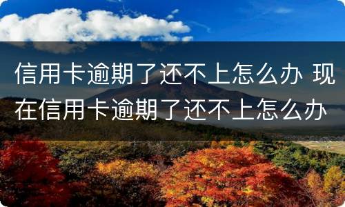信用卡逾期了还不上怎么办 现在信用卡逾期了还不上怎么办