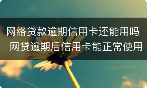 网络贷款逾期信用卡还能用吗 网贷逾期后信用卡能正常使用吗