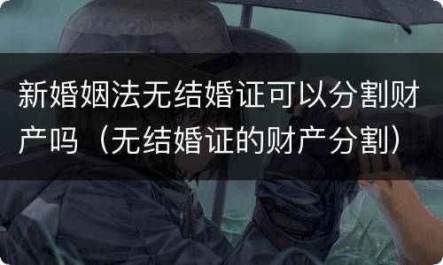 新婚姻法无结婚证可以分割财产吗（无结婚证的财产分割）