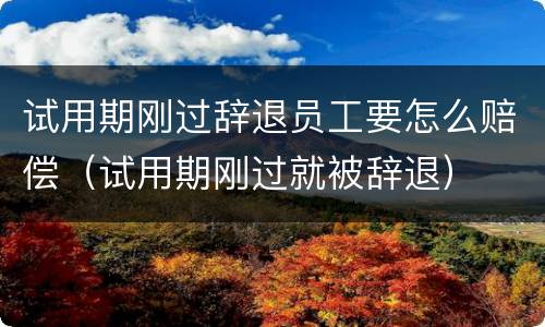 试用期刚过辞退员工要怎么赔偿（试用期刚过就被辞退）