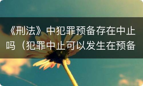 《刑法》中犯罪预备存在中止吗（犯罪中止可以发生在预备犯罪过程中）