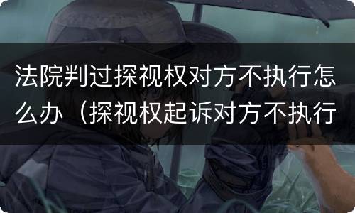 法院判过探视权对方不执行怎么办（探视权起诉对方不执行）