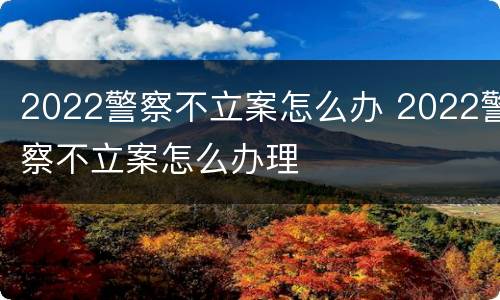 2022警察不立案怎么办 2022警察不立案怎么办理