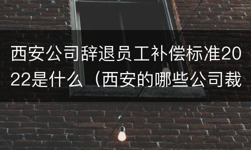 西安公司辞退员工补偿标准2022是什么（西安的哪些公司裁员了）