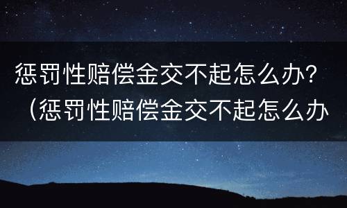 惩罚性赔偿金交不起怎么办？（惩罚性赔偿金交不起怎么办）